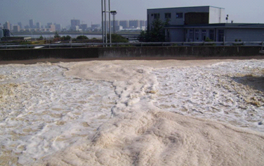 利用活性污泥处理污水过程